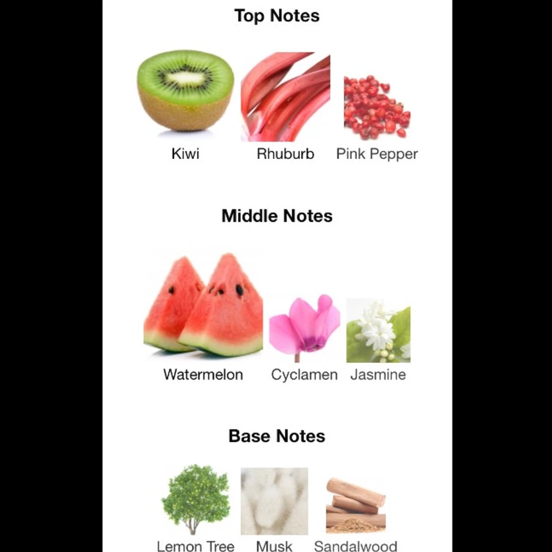 Dolce&Gabbana L’Impératrice - 90