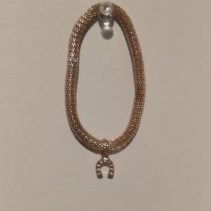 Armband - Ett guldigt armband med en hästhov på. Ny pris: 49kr