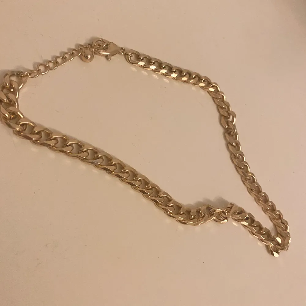 Fint guldigt halsband! Tror detta kommer från JFR. Knappt använt❣️❣️. Accessoarer.