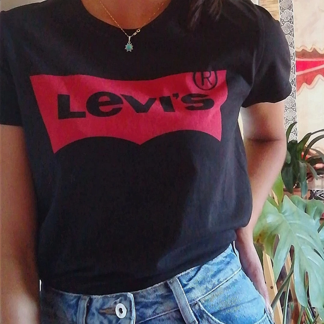 Levi's t-shirt 