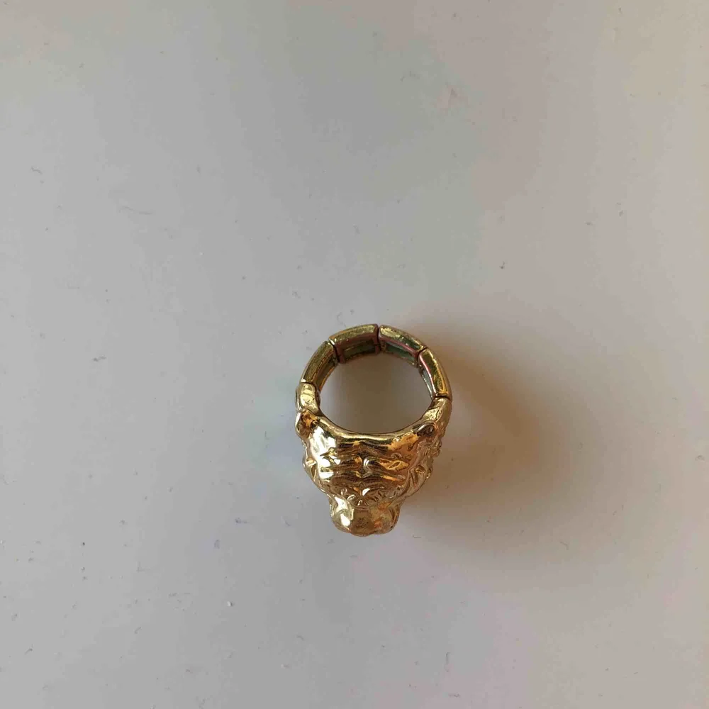 Guldig ring som ser ut som ett lejon . Övrigt.