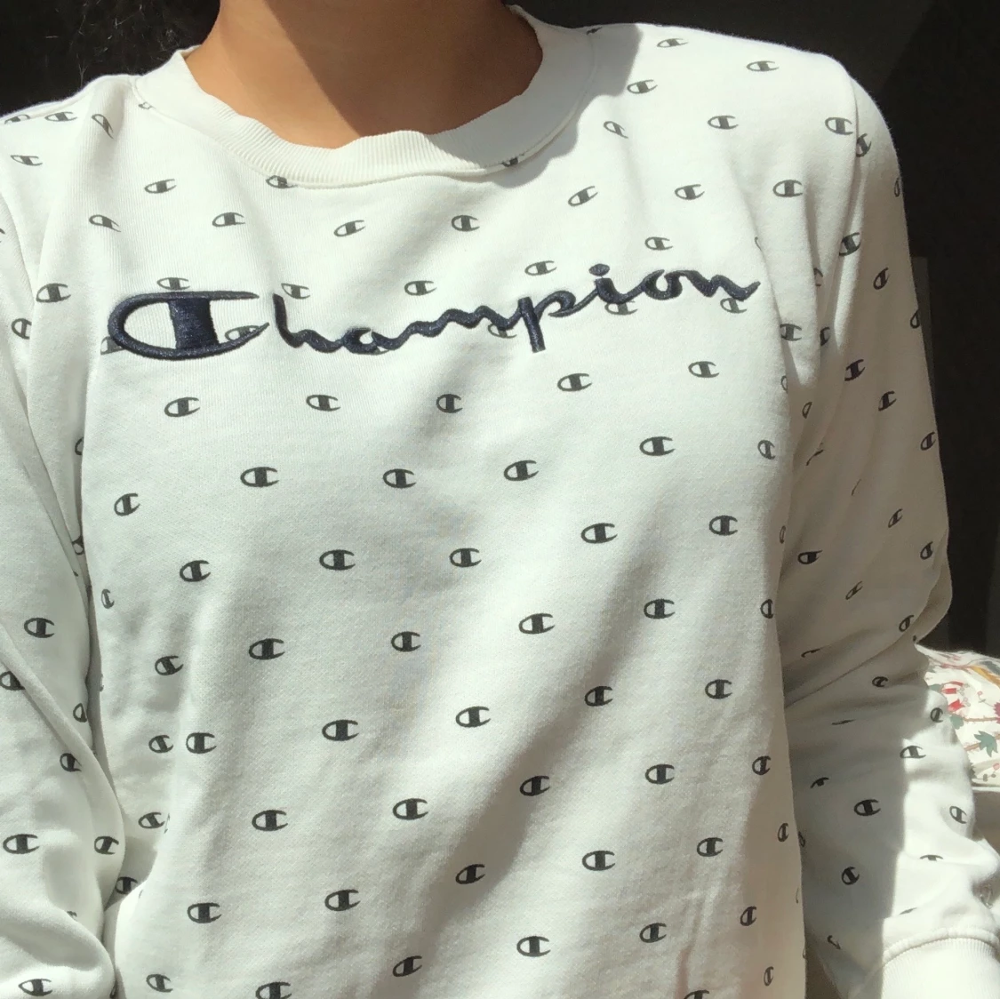 Champion sweatshirt 