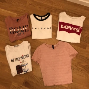 Massa t-shirts!  - Alla plaggen är i xs  förutom den t-shirt där de står ”we stick together” den är i storlek xxs. Alla dessa plagg kostar 50kr styck förutom den rosa t-shirt med en liten fläck på den kostar 40kr och Levi’s t-shirt som kostar 60kr