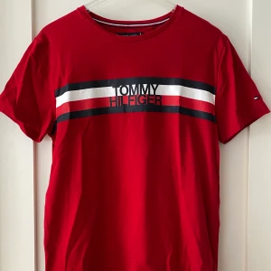 Tommy Hilfiger tröja - Tommy Hilfiger tröja i stl M. I nyskick och nypris ca 500kr  -Tommy hilfiger logga på bröstet -Broderat märke på ärmen -Organic cotton                     Startpris 30kr+frakt, buda i kommentarerna (buda minst 10kr mer)😊