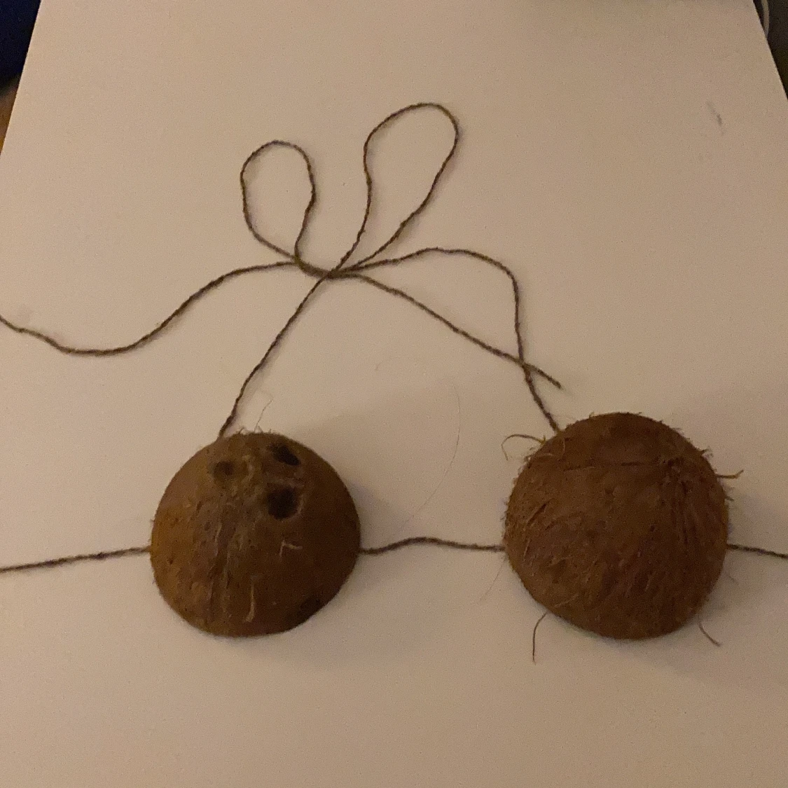 Kokosnöt bikini 🥥