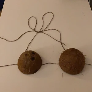 Kokosnöt bikini 🥥 - Snyggaste sexigaste kokostoppen! Jag har gjort den alldeles själv🥥 passar alla storlekar beroende på hur man vill att den ska sitta! Den kostar 30+frakt men om flera är intresserade så får ni buda i kommentera🤤