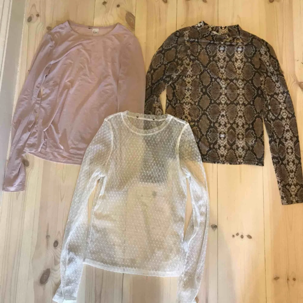 3 stycken superfina mesh- tröjor! Den rosa är från h&m, vita från BikBok och den orm-mönstrade från NLY Trend. Den orm-mönstrade har bara använts en gång, de andra två är dock i mycket fint skick!. Toppar.