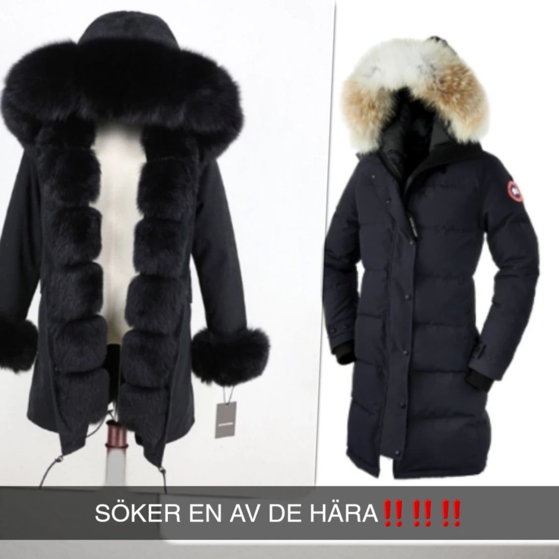 Söker‼️‼️‼️