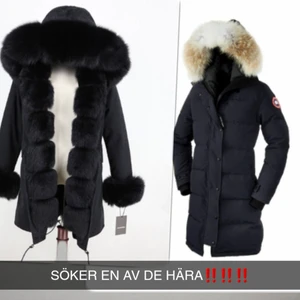Söker‼️‼️‼️ - SÖKER EN AV DET HÄRA I ÄKTA PÄLS PÅ BÅDA! STORLEK M PÅ BÅDA. 2000 HÖGST! SKRIV TILL MIG I FALL NI SÄLJER 