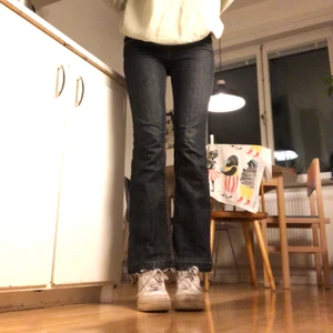 Lågmidjade bootcut jeans  - Ett par mörkblå jeans, en svag hårfärgs fläck på ena låret men det syns knappt. Jag är 169 cm lång 