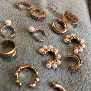 Fake öronpiercingar  - Jättefina öronpiercingar som jag köpte från hm. Har aldrig använt dom. Skriv vilka ni vill ha så skriver jag hur mycket dem kostar. Allt tillsammans=60kr + frakt 