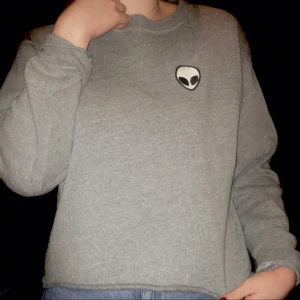  - En populär ailentröja i grått, den är knappt använd så den är i väldigt gott skick och väldig väldigt len. Den passar storlek XS-L beroende på passform