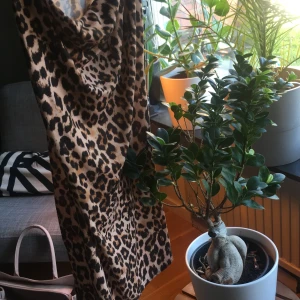 Leopardmönstrad klänning, strl XS - Aldrig använd, köpt från Nelly. En luftig klänning som gör att bysten ser väldigt fin ut. 