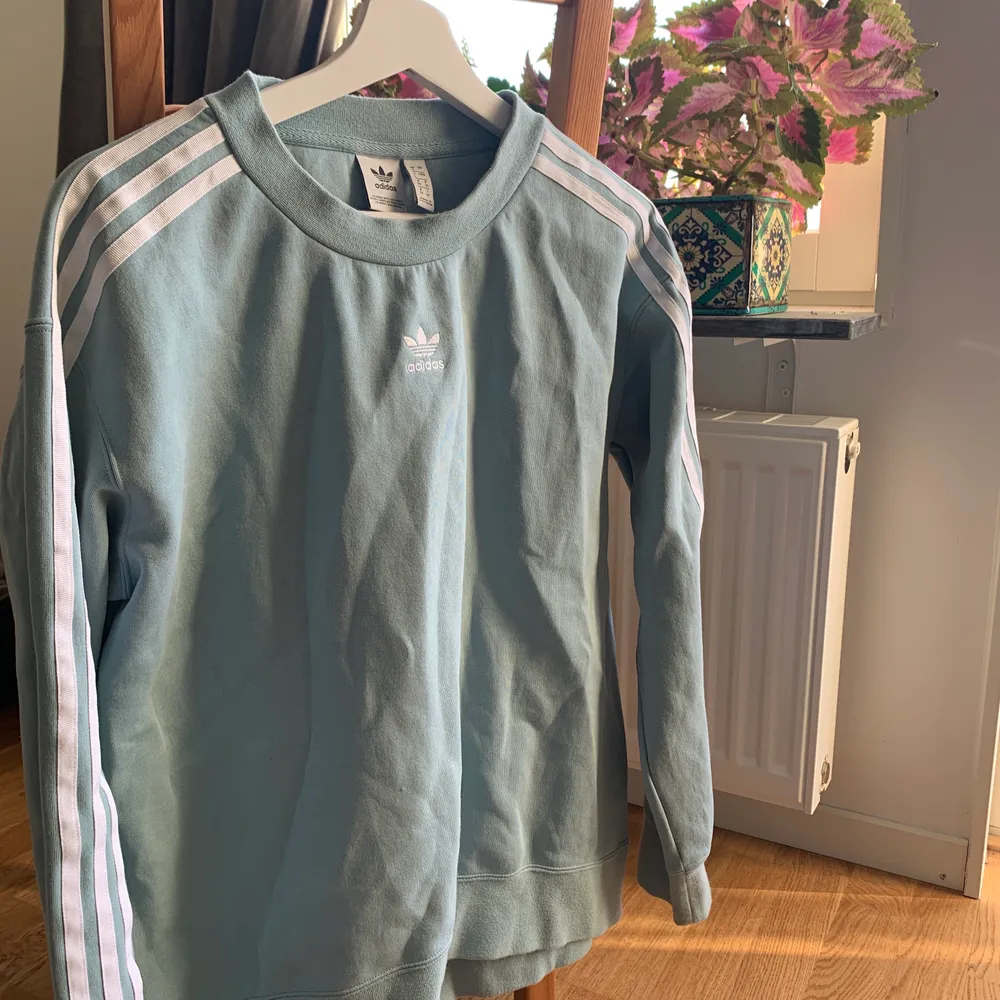 Adidas sweatshirt i en härlig turkosblå färg. Inköpt från Zalando för ca 2 år sedan, men endast använd ca 5-10 ggr. Säljer pga att den inte används! NYPRIS: 799kr. Hoodies.