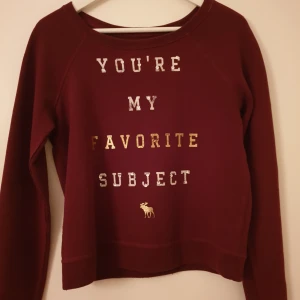  - Tröja från Abercrombie & Fitch. Väl använd. Storlek S. 
