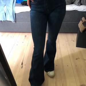 Dessa fina dr denim jeans är aldrig använda och därför i mycket fint skick. De är väldigt långa (på mig som är 1,60 går de ända ner till marken när jag står på tå, om det hjälper haha), köpare står för frakt, kontakta för fler bilder eller frågor