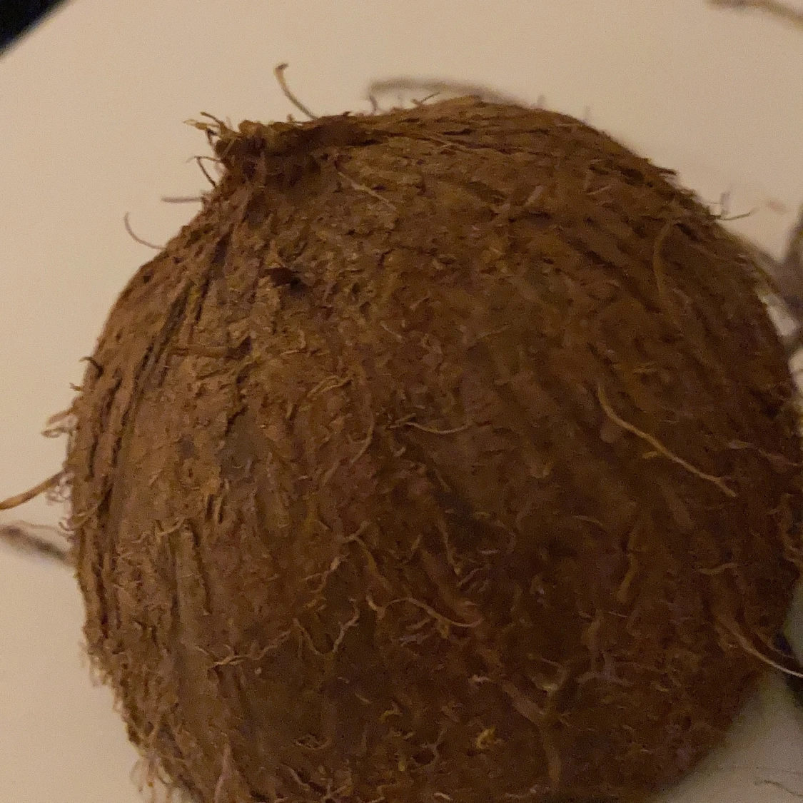 Kokosnöt bikini 🥥 - 91