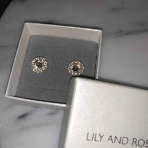  - Lily and Rose örhängen ”Miss Sofia”. Använda en gång. Kostar ungefär 299kr nya. Frakt tillkommer och låda ingår.