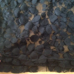 Svarttransperant topp använd ytterst få gånger - Svarttransperant topp använd ytterst få gånger