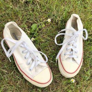  - Låga vita converse, i storlek 36,5 passar mig som har 37. Lite gula vid sulorna med går säkert att ta bort med något medel där av billiga priset! Kan mötas, frakt till kommer i priset. 💛  