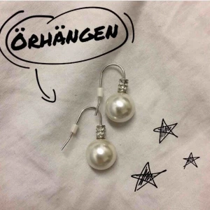  - Örhängen i fint skick. Frakten är på 12kr extra. 