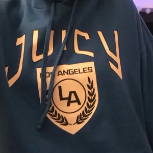 Juicy hoddie - Snygg blå JUICY hoodie. Köp för 200 kr eller buda, ( juicy kan vara värt upp till 1000 kr)