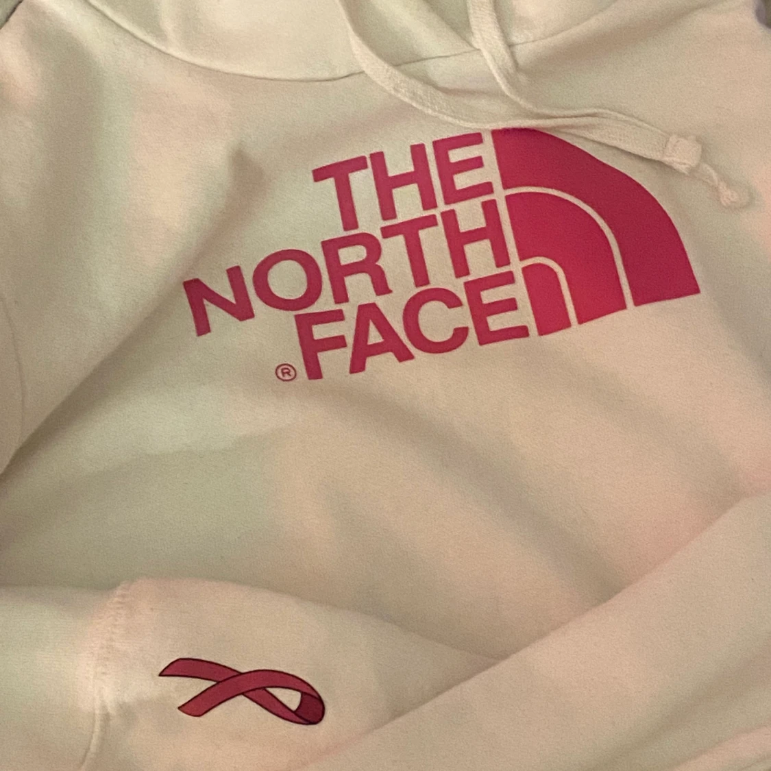 The north Face hoodie