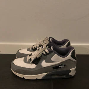 Nike Air Max 90 - Nike Air Max 90, fint skick, storlek 37.5