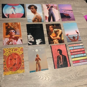 Vägg bilder - Harry Styles bilder att ha på väggen, 1 bild kvar. 30 inklusive frakt 📦🦋