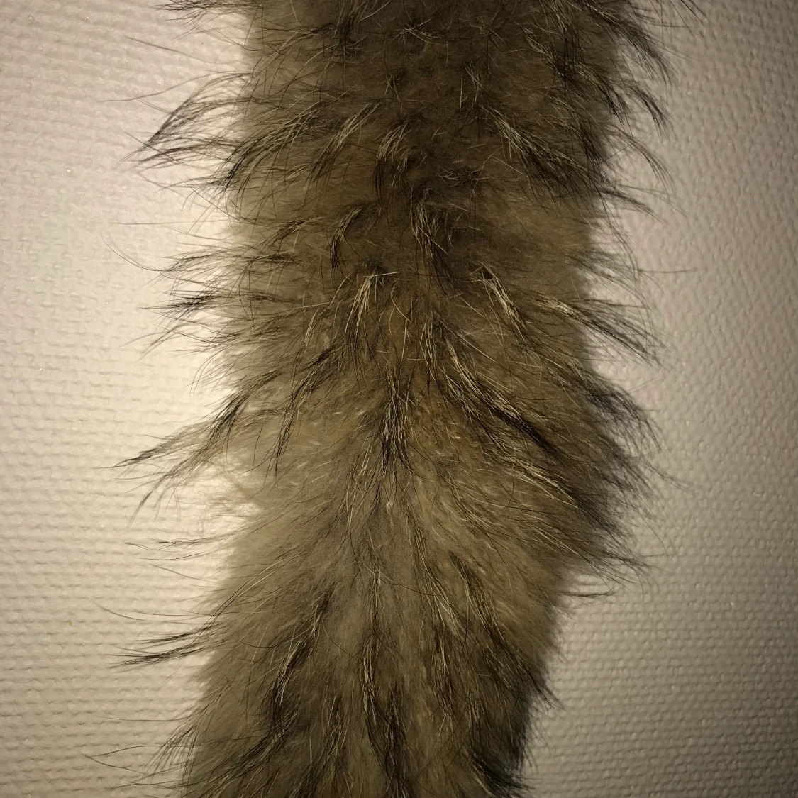 Äta pälskrage - 90