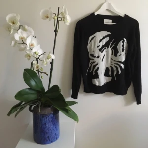  - Skön tröja med kräftmotiv!