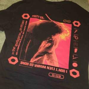 Post Malone tshirt  - Post Malone t-shirt, oversized så passar S också.