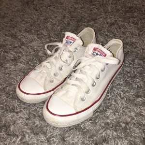  - Vita, low ankle Converse.  