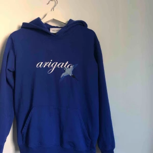 Blå Arigato hoodie  - Blå hoodie från Axel Arigato med en snygg detalj på luvan! Herrstorlek! Snöret i luvan saknas:( Går att diskutera pris!