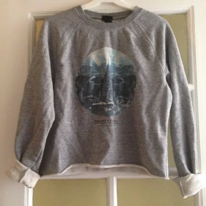  - Hoodie. Avklippt kort. Grå med motiv av New York. Kan skicka eller mötas upp i Sthlm. Köparen betalar frakt. Swish, cash eller överföring. 