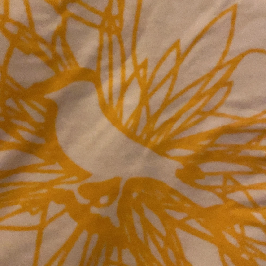 Solliv soltopp solig  urskön - 90