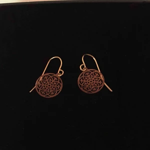  - Guldiga örhängen ✨ Frifrakt