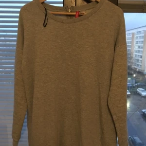 Oversized grå tröja - Säljer en oversized grå tröja med blixtkedja vid nacken och små detaljer vid armen. Storlek M, men är stor storleken!  Skriv gärna vid intresse/frågor!