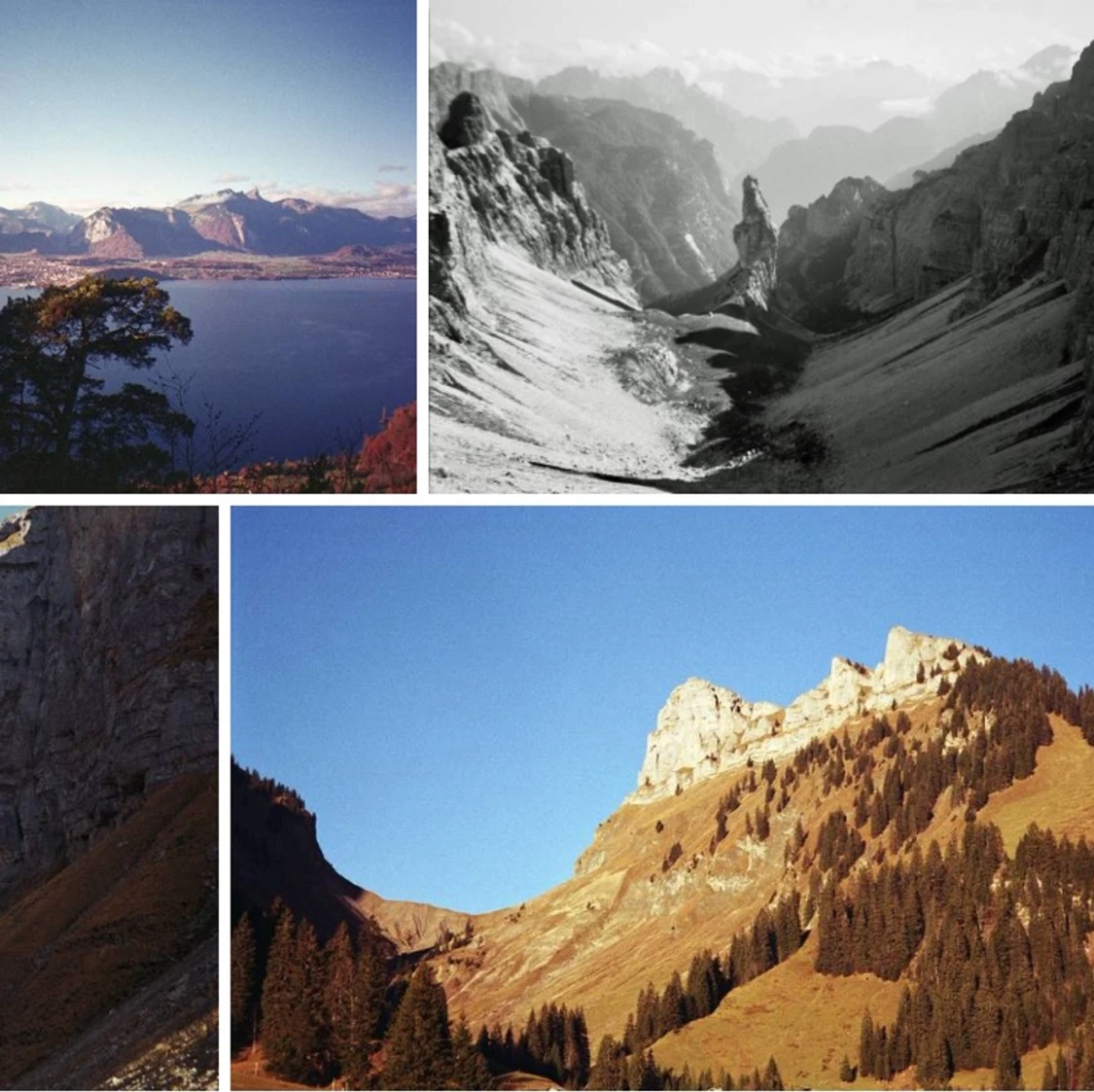 Analog kompaktkamera Minolta  - 91