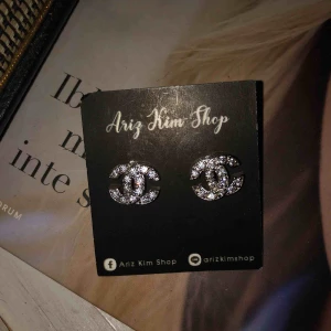  - Fake Chanel örhängen silvriga. Aldrig använda, frakt ligger på 9kr 