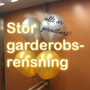  - 🌟✨🌟✨🌟