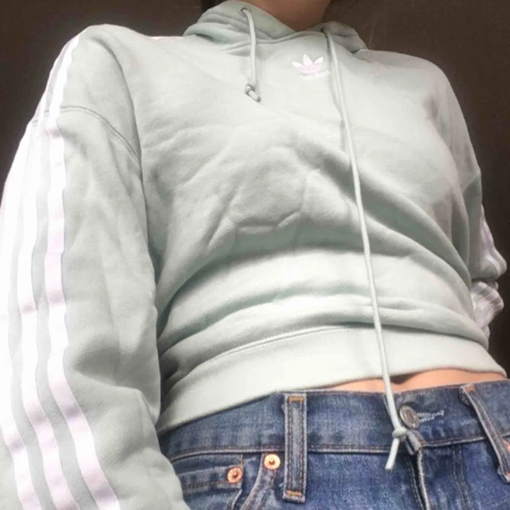 En mintgrön hoodie från adidas i en väldigt fin färg som tyvärr inte återges i kameran🙃 sparsamt använd och mycket bra skick💕💕. Hoodies.