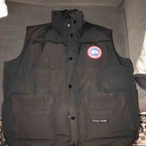  - En canada goose väst som är typ 1 år gammal 
