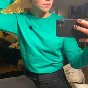 Grön tröja med mussepigg märke! 