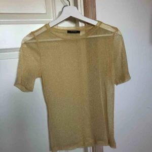 - Guldfärgad glittrig meshtop från Zara, aldrig använd.