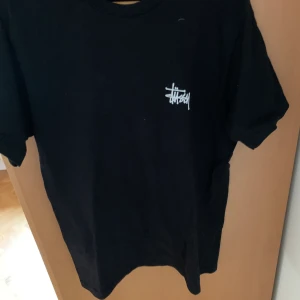 Stüssy tee - Funkar till allt! Bra skick