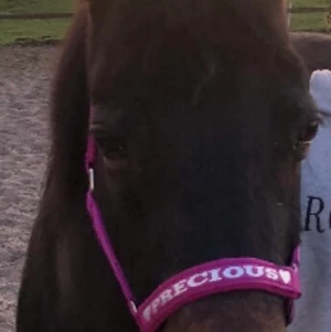 Rosa grimma - Använt skick, storlek ponny