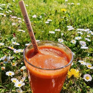 Bambusugrör - Bambusugrör med en kort faktatext om naturen!! I ett packet ingår sex sugrör & en rengöringsborste av kokosstrån. Längden är 20cm, bredden är olika då tillverkarna tar vara på hela bambun vid tillverkning. Skriv om du har frågor!! Frakt ingår!!