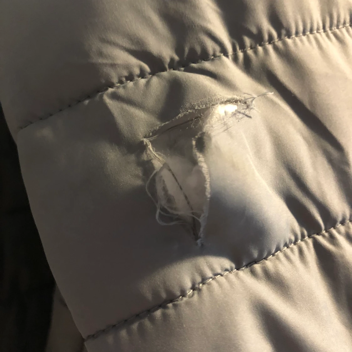 Hollister jacka - 91