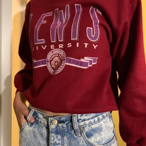 Vintage collage - Supermysig collagetröja köpt från Weekdays second hand avdelning. Knappt använd efter köp då jag inte tycker den passar mig :)